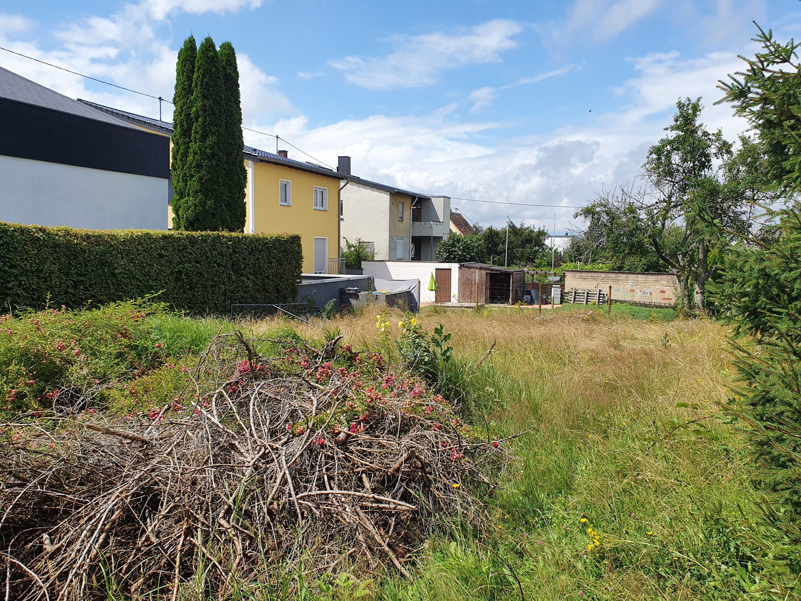 Additional Portfolio Image