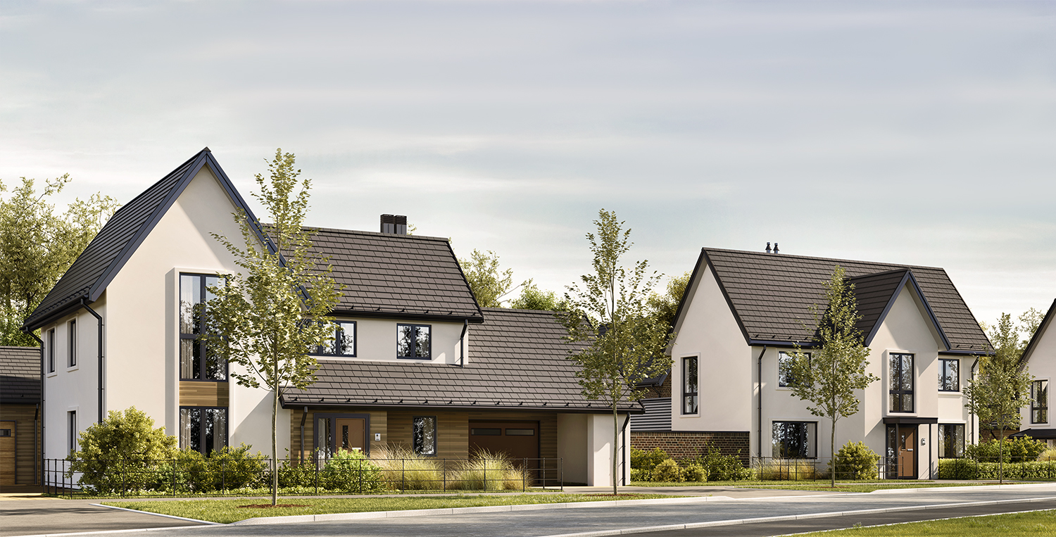 Additional Portfolio Image