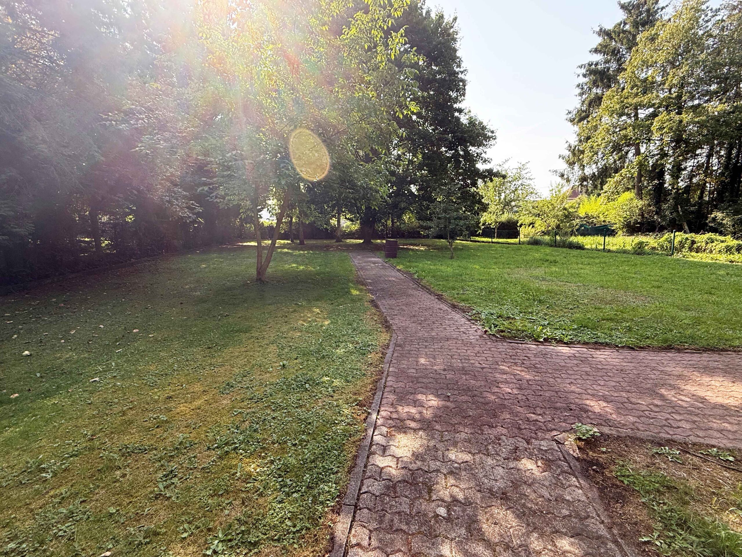 Additional Portfolio Image