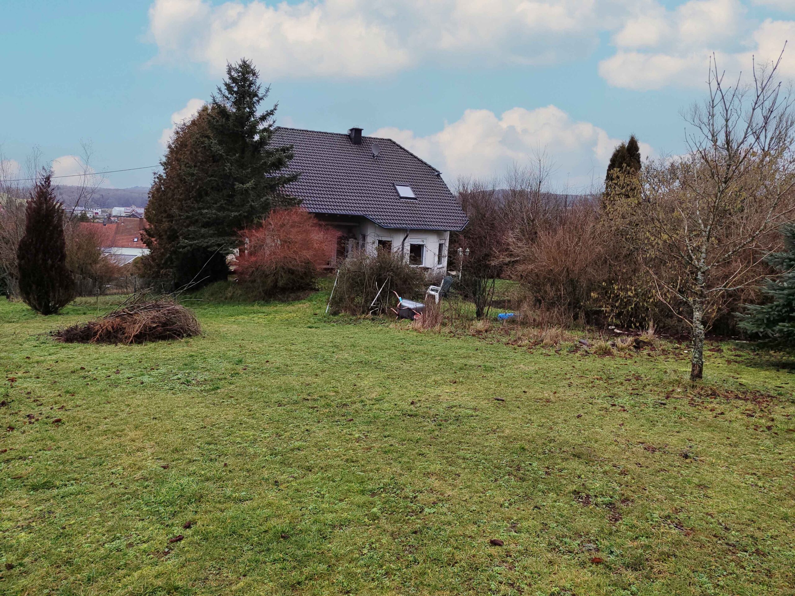 Additional Portfolio Image